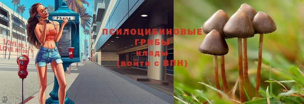крисы Гусиноозёрск