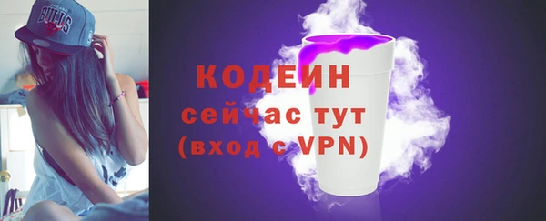ешки Гусев