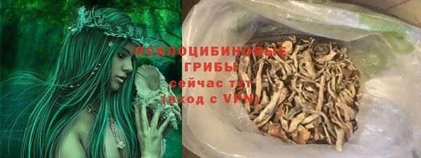 ешки Гусев