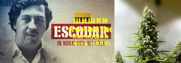 ешки Гусев
