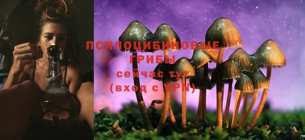 дурь Гусь-Хрустальный