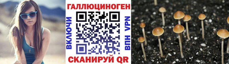 Галлюциногенные грибы MAGIC MUSHROOMS  сайты даркнета формула  Михайлов 